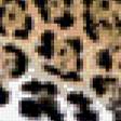 Предпросмотр схемы вышивки «леопард» (№456088)