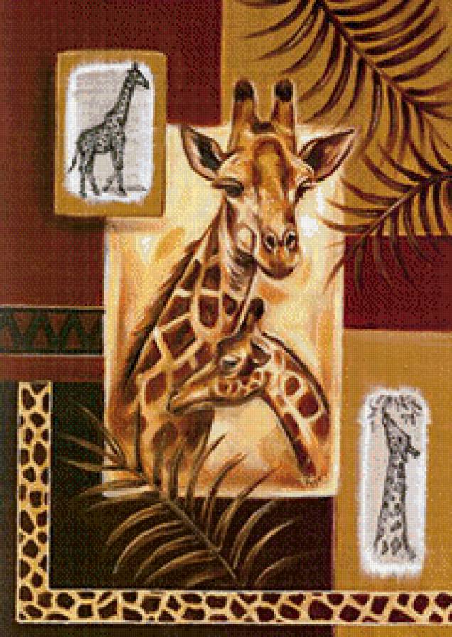 жираф - жираф, животные - предпросмотр