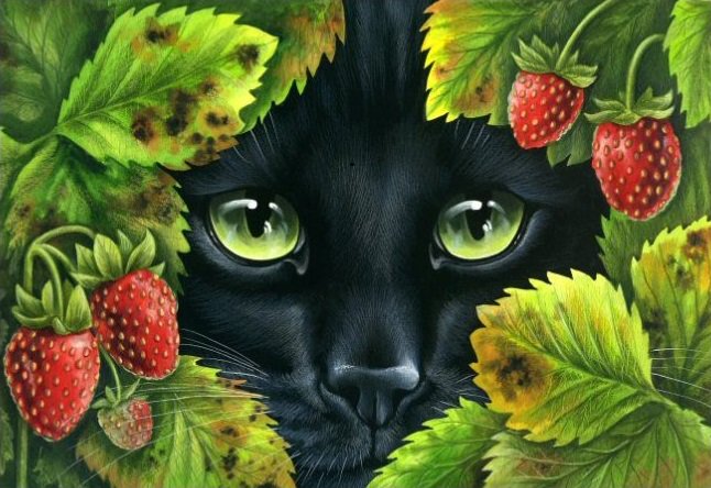 кошки и ягоды - домашние животные, кот, клубника, кошка, кошки, черный кот, ягоды - оригинал