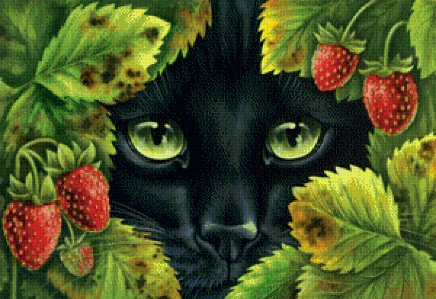 кошки и ягоды - черный кот, кошка, кот, кошки, домашние животные, ягоды, клубника - предпросмотр