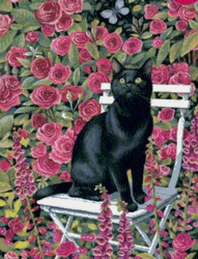 кот - кошки, животные, цветы - предпросмотр