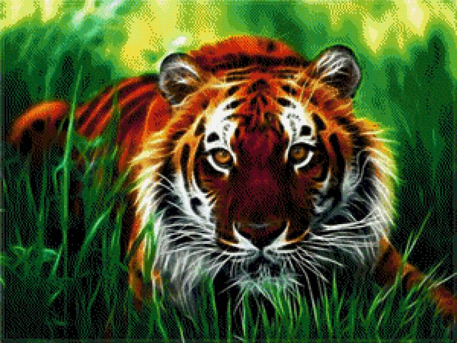 Тигр в засаде - предпросмотр
