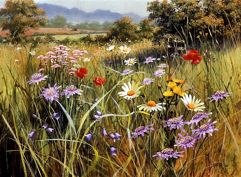 поле с цветами - красиво, цветы, пейзаж, природа, поле - оригинал