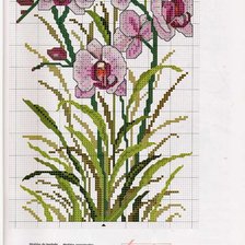 Оригинал схемы вышивки «орхидея2» (№457651)