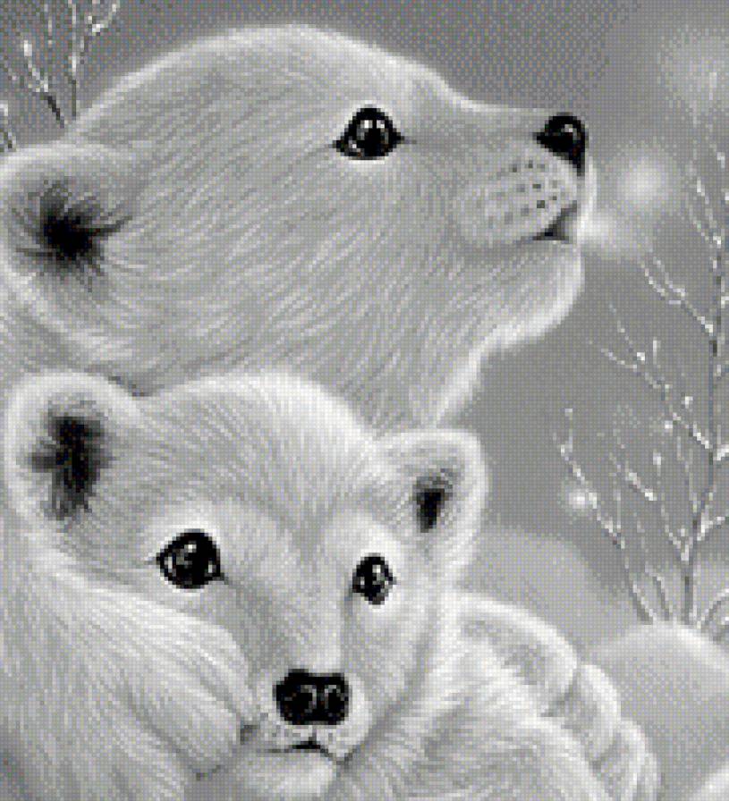 белые медвежата - предпросмотр