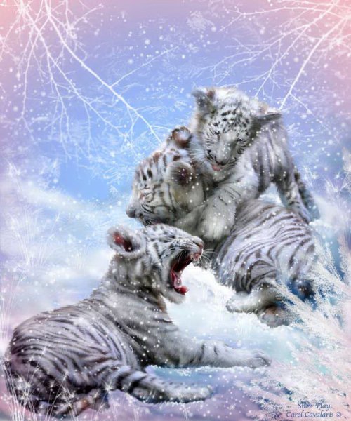 Серия "Большие кошки" - кошки, тигры, животные - оригинал