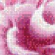 Предпросмотр схемы вышивки «Китайская роза» (№458123)