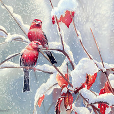 птички зимой