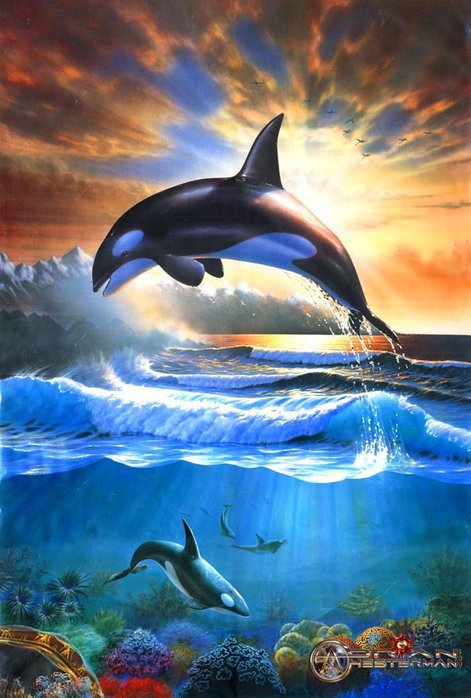 Дельфин - море, морской пейзаж, рыба - оригинал
