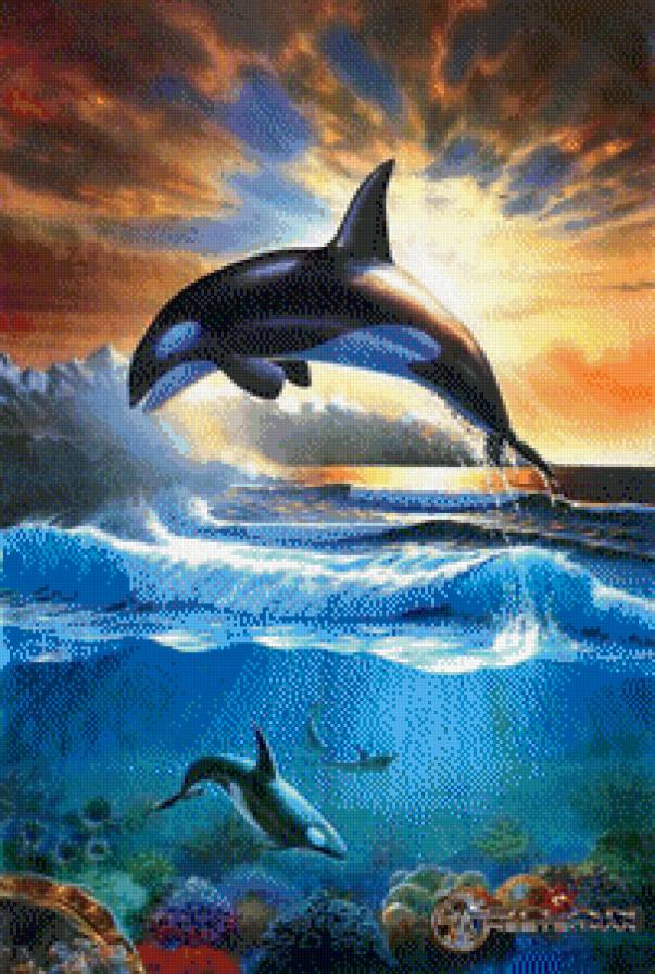 Дельфин - море, рыба, морской пейзаж - предпросмотр