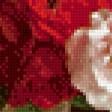 Предпросмотр схемы вышивки «Натюрморт с домашними розами» (№459471)