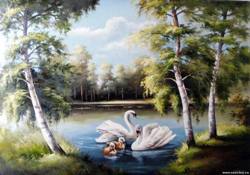 Семейство лебедей - озеро, лебеди, птицы - оригинал