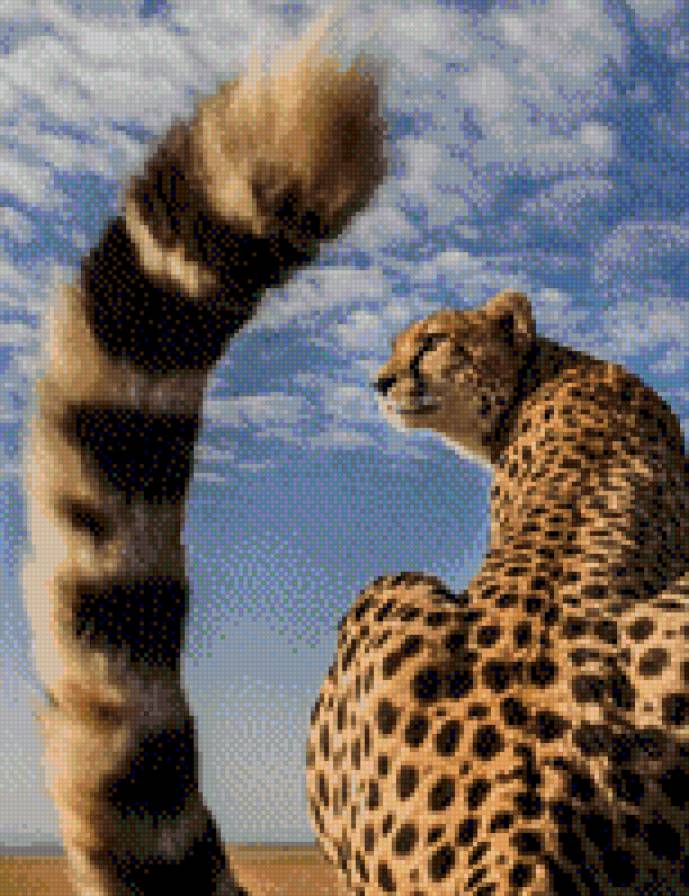 гепард - большие кошки, животные, кошки - предпросмотр