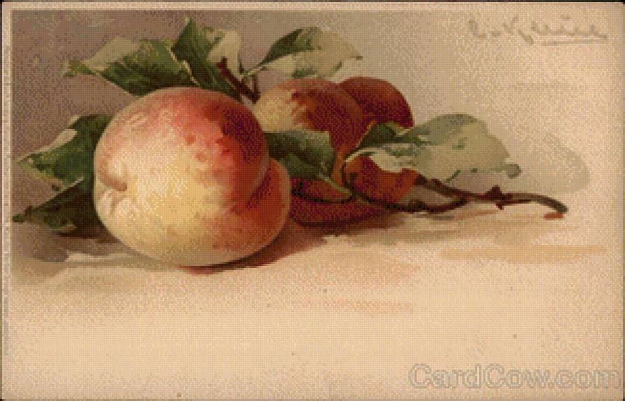 Sprig of Peaches - предпросмотр
