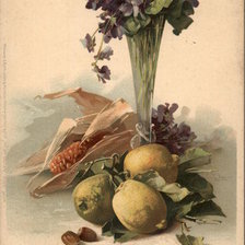 Purple Flowers, Lemons and Corn