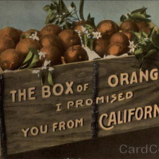Оригинал схемы вышивки «The Box of Oranges I Promised you from California» (№460555)