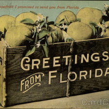Оригинал схемы вышивки «The Box of Grapefruit I promised to Send You From Florida» (№460556)