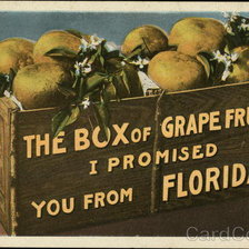 Оригинал схемы вышивки «Box of Grapefruit from Florida» (№460558)