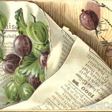 Оригинал схемы вышивки «Grapes in a Newspaper» (№460646)