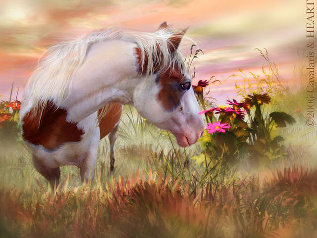 Серия "Кони" - пейзаж, лошади, кони, животные - оригинал