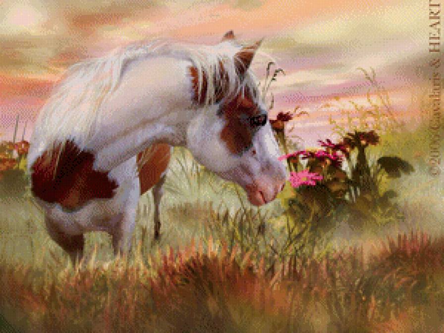 Серия "Кони" - лошади, животные, кони, пейзаж - предпросмотр