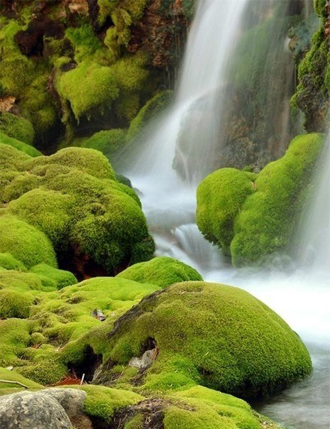 Водопад - водопад, вода, природа - оригинал