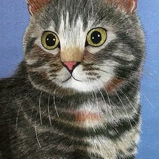 Оригинал схемы вышивки «серия "кошки"» (№461072)