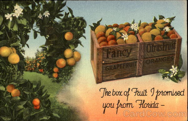 The Box Of Fruit - оригинал