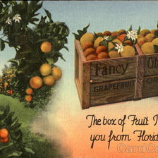 Оригинал схемы вышивки «The Box Of Fruit» (№461183)