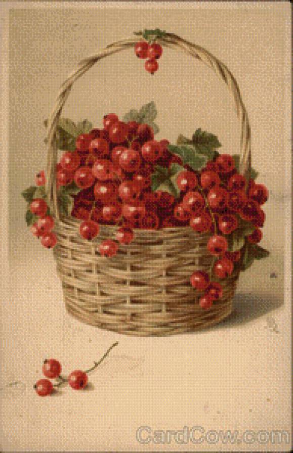 Basket of Red Currants - предпросмотр