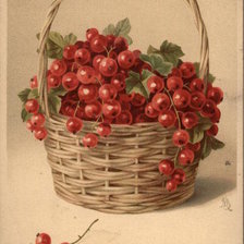 Схема вышивки «Basket of Red Currants»