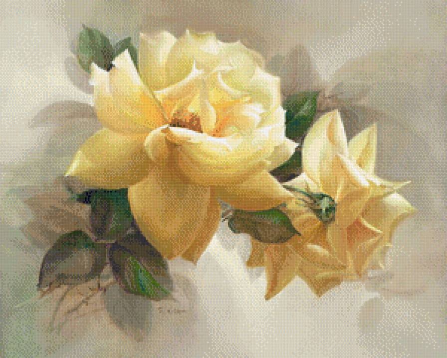 желтые розы - цветы - предпросмотр