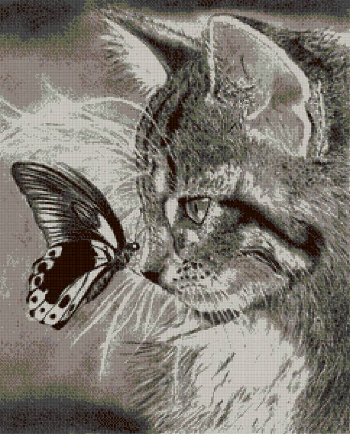 неожиданность 2 - неожиданность, кот, монохром, бабочка, кошка - предпросмотр