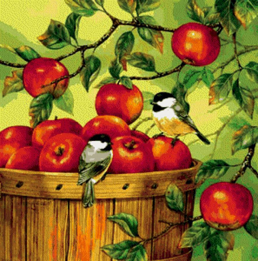птички на яблоках - предпросмотр