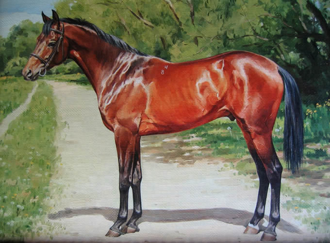 0155 - кони, лошадь, природа, лето, картина, животные, красота - оригинал
