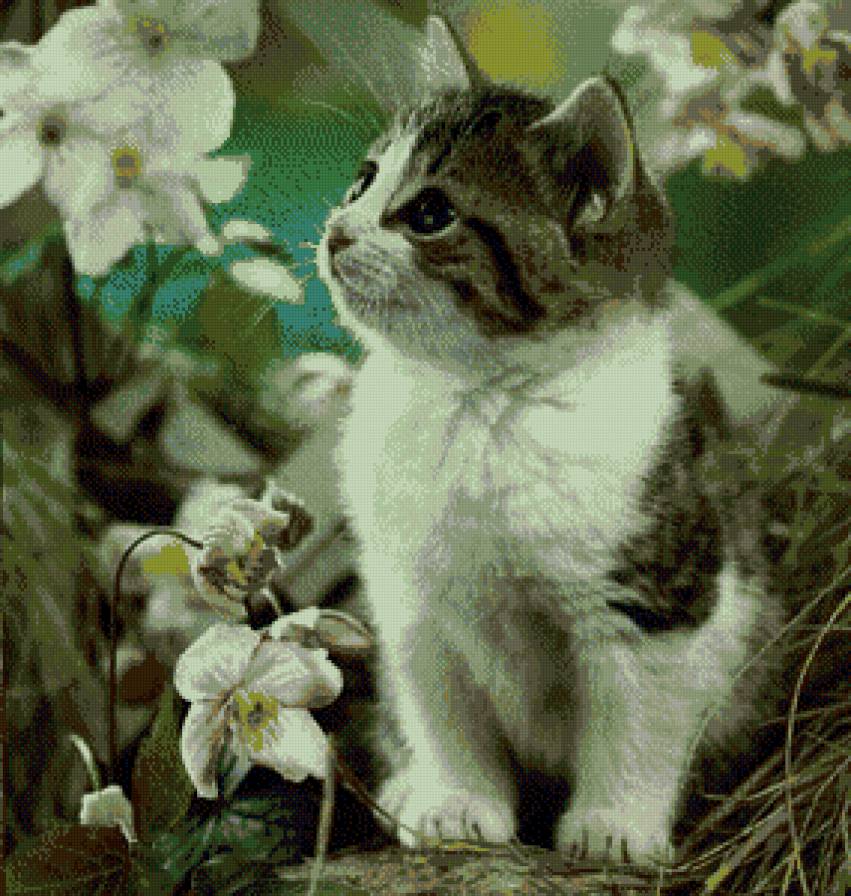 Котик 1 - котик, цветы. - предпросмотр