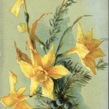 Схема вышивки «Fragrant Flowers to Mark the Hours -- Daffodils»