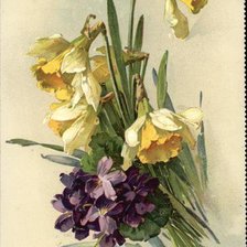Оригинал схемы вышивки «Bouquet of Daffodils and Violets» (№462485)