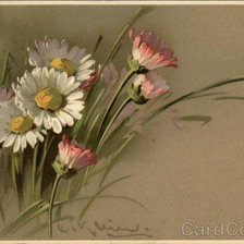 Painting of Pink, White & Yellow Daisies