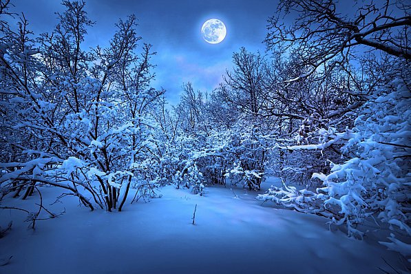 Лунная ночь - ночной пейзаж, луна, лес, месяц, зима, зимний пейзаж - оригинал