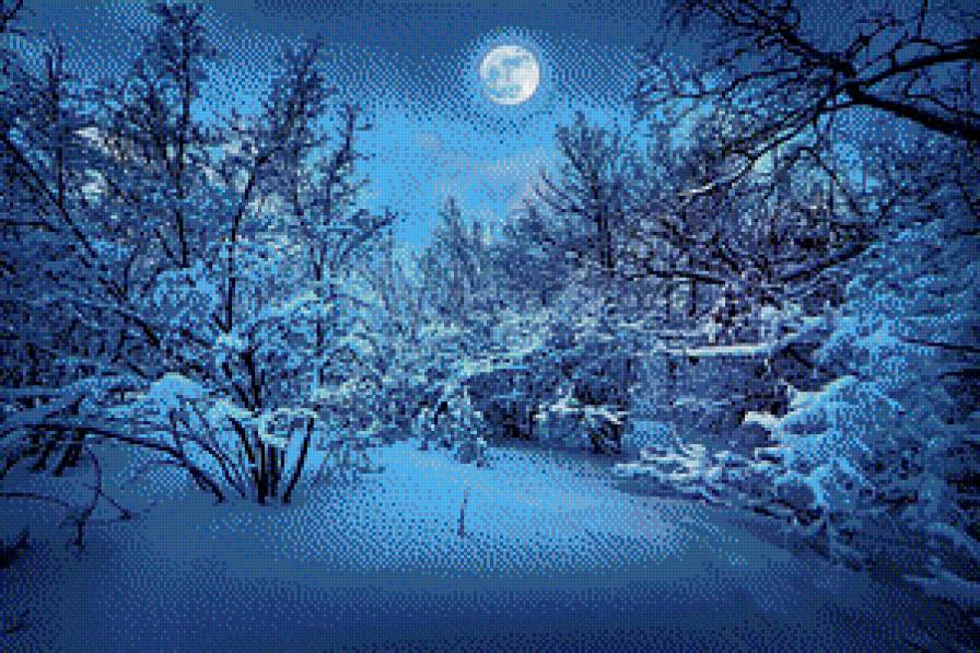 Лунная ночь - зима, месяц, зимний пейзаж, лес, ночной пейзаж, луна - предпросмотр