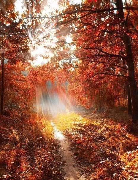 Осень - природа, осень - оригинал