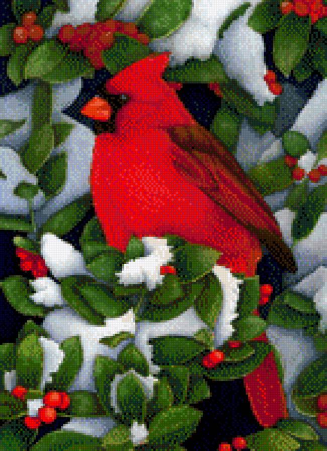 Кардинал - ягодки, снег, птицы, птица, кардинал, рождество, новый год - предпросмотр
