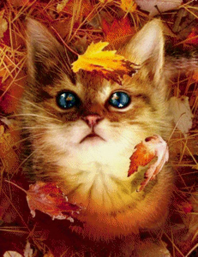 осень - это красиво ! - котенок, лапушка, листья, милашка, кот - предпросмотр