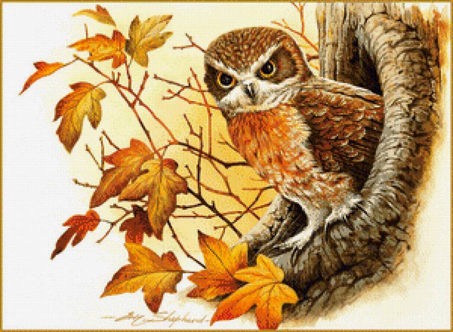 Осенняя сова - сова, осень, кленовые листья - предпросмотр
