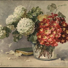 Vase of Red & White Flowers