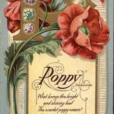 Схема вышивки «Poppy»