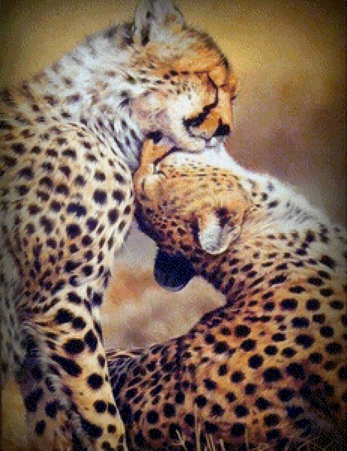 Любовь гепардов - любовь, животные, кошки - предпросмотр