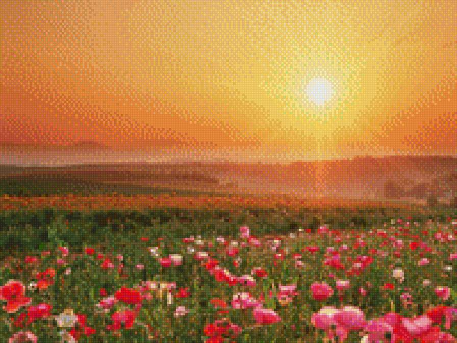 цветущее поле на закате солнца - лето, пейзаж, картина - предпросмотр