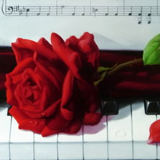 Схема вышивки «роза на рояле»